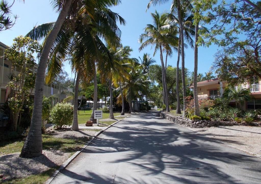 Photo of Outdoor in Islamorada
