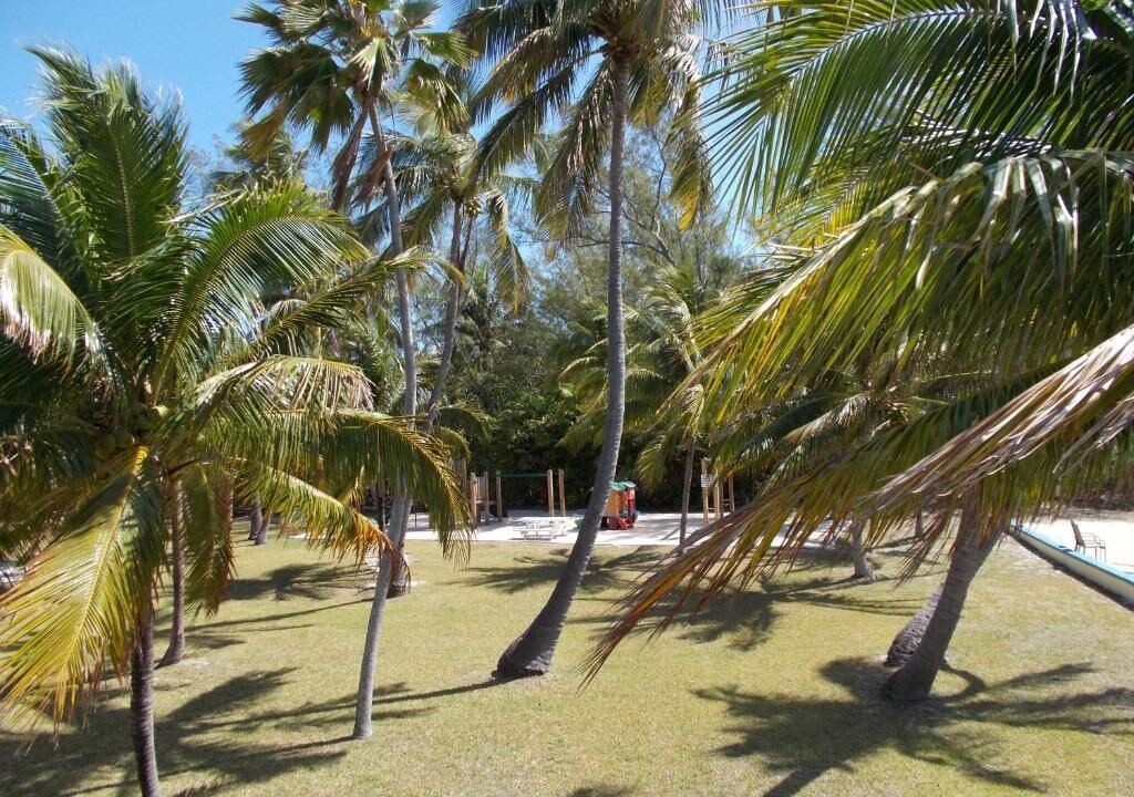 Photo of Outdoor in Islamorada