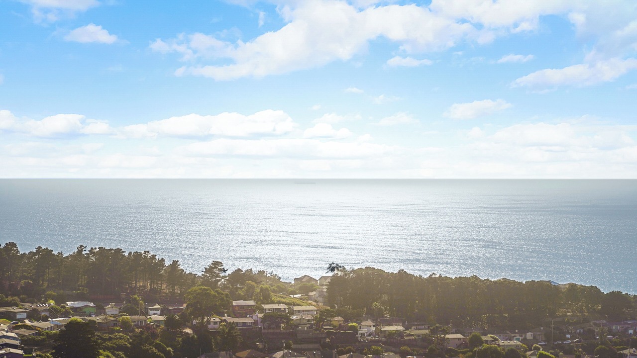 Photo of Others in Pacifica