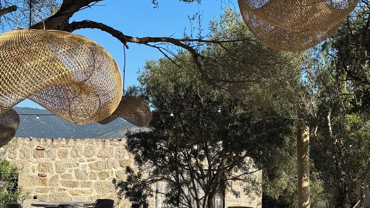 Photo of Patio Balcony in Pianotolli-Caldarello