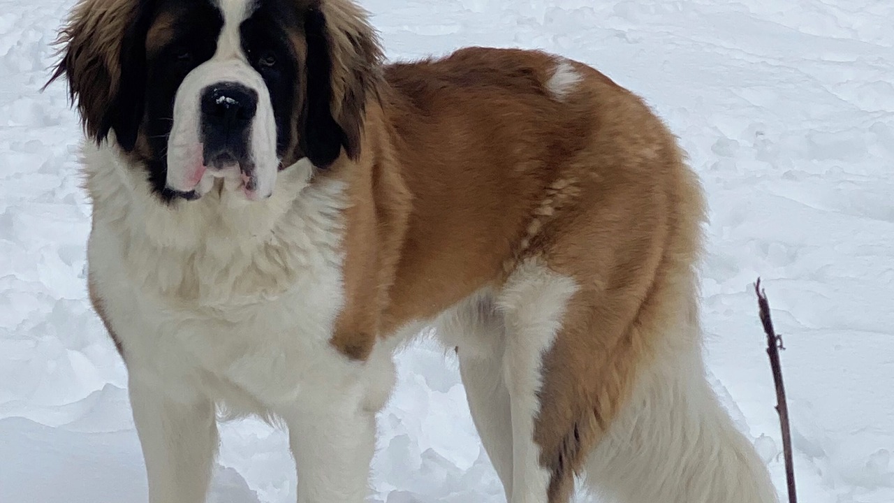 Photo of Others in Shandaken