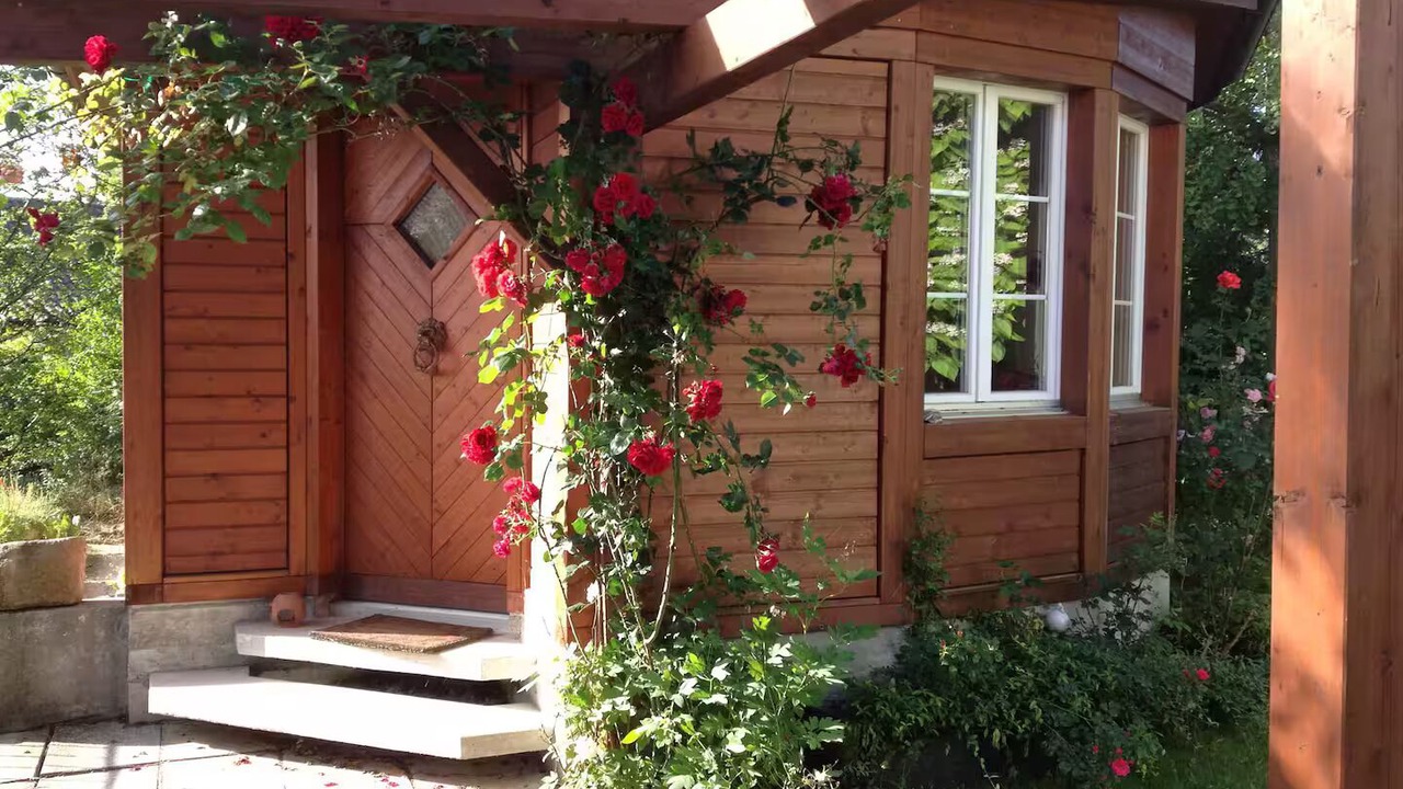 Photo of Outdoor in Uster District
