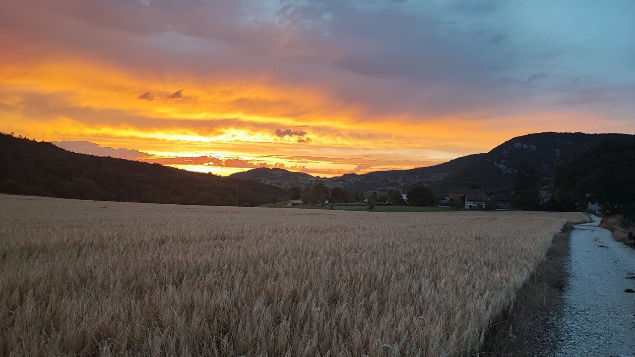 Photo of Outdoor in Marchamp