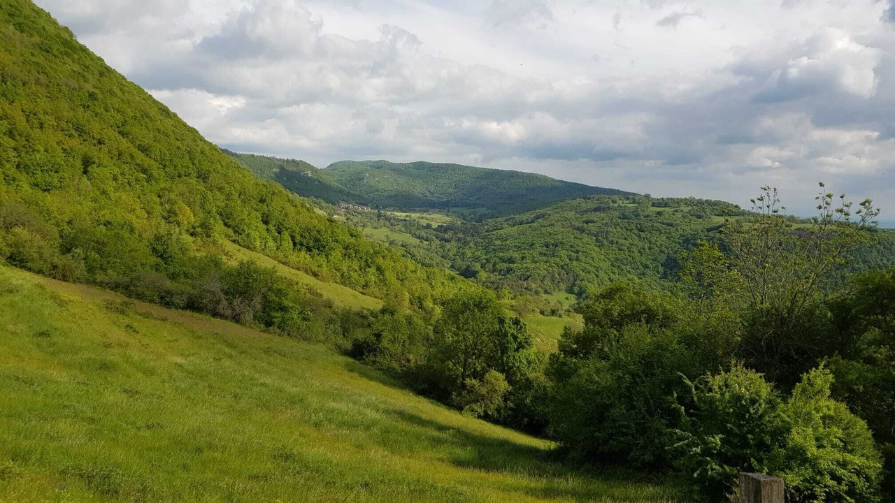 Photo of Outdoor in Marchamp