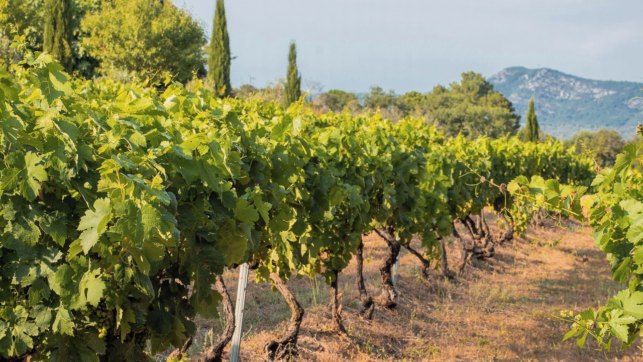 Photo of Outdoor in Les Brugassieres