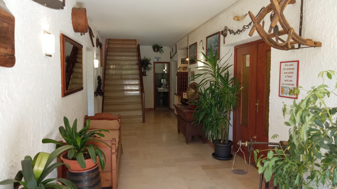 Photo of Others in Evisa