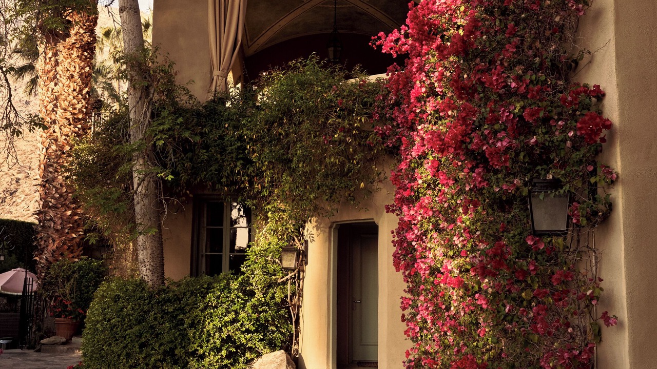 Photo of Outdoor in Downtown Palm Springs