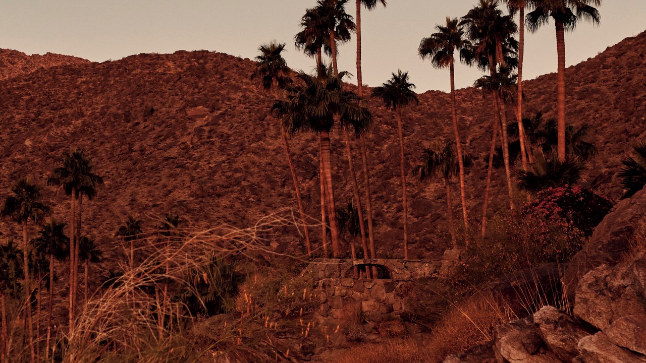 Photo of Others in Downtown Palm Springs