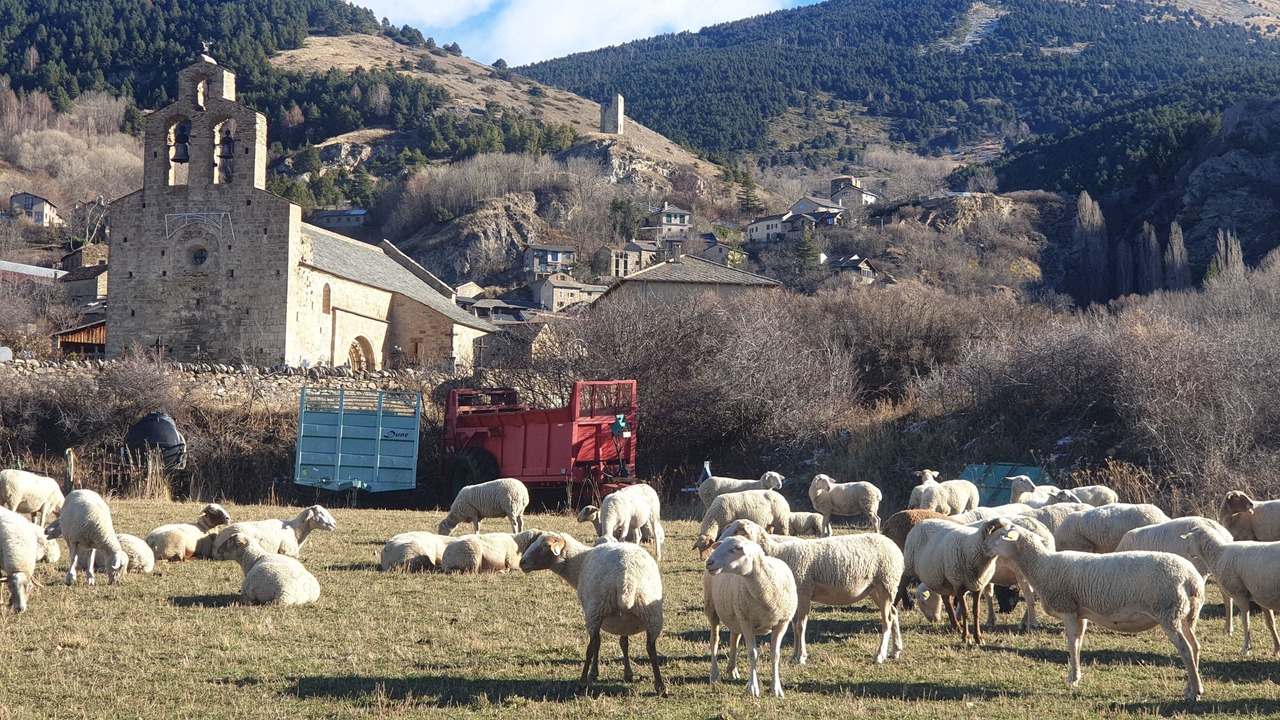 Photo of Outdoor in Llo