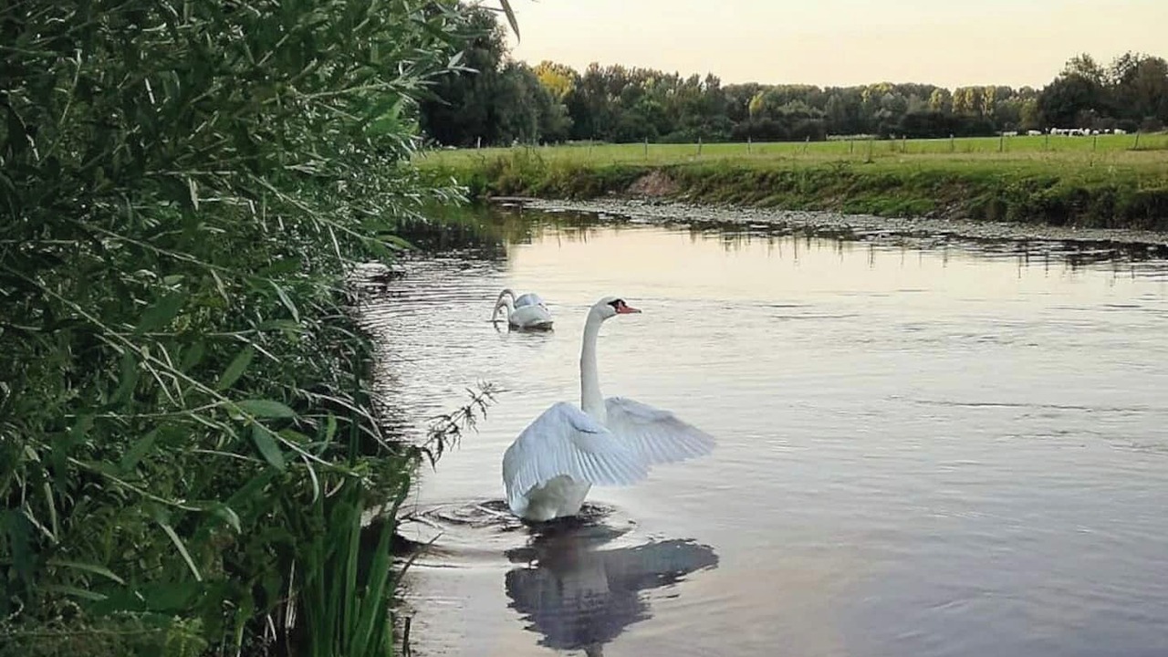 Photo of Others in Bray-et-Lu