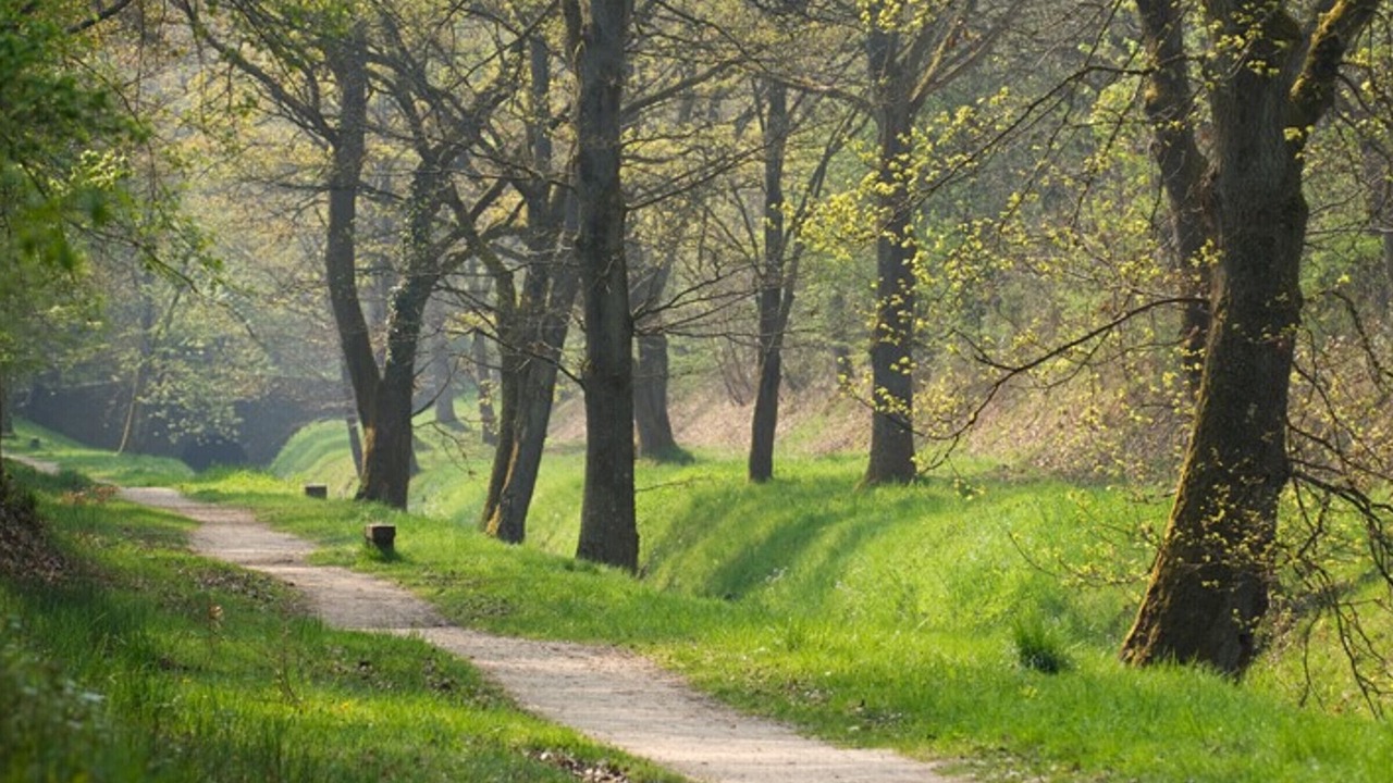 Photo of Others in Hermeray