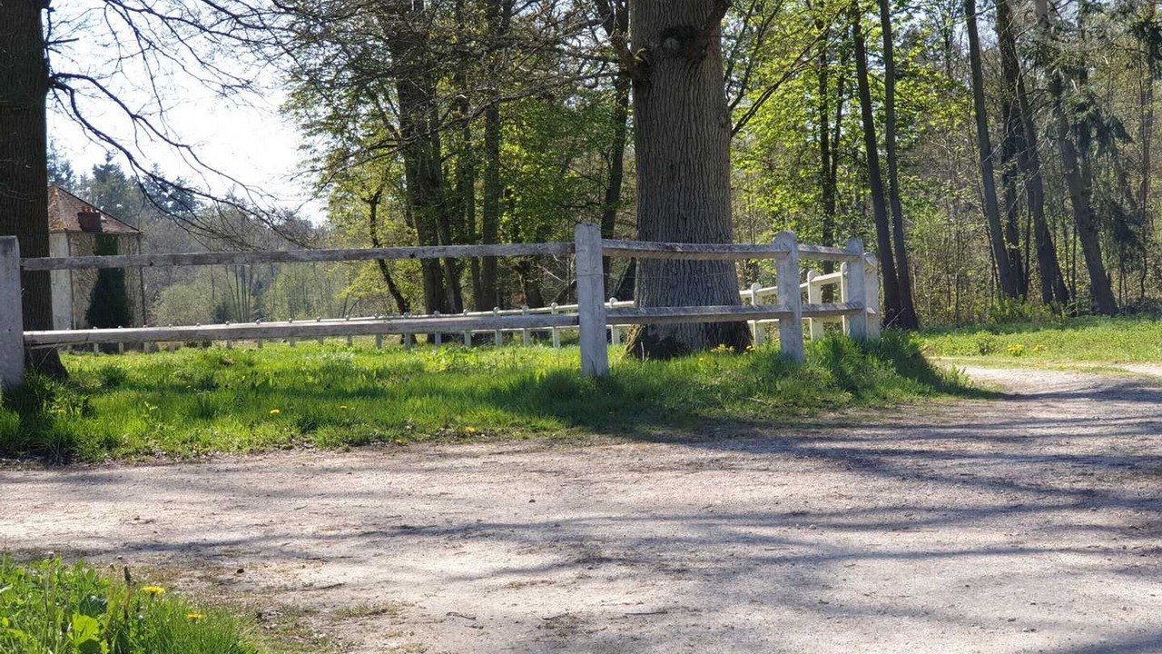 Photo of Others in Raizeux