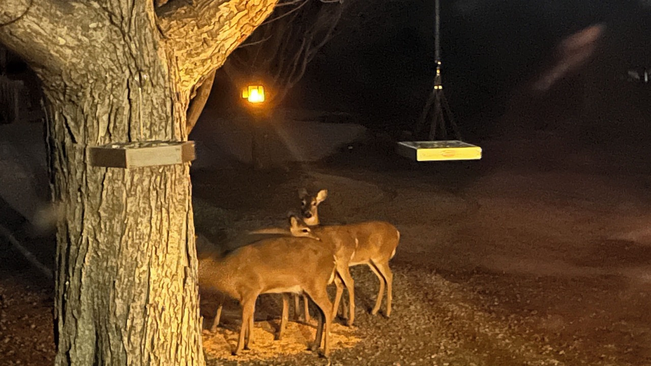 Photo of Others in Douglass