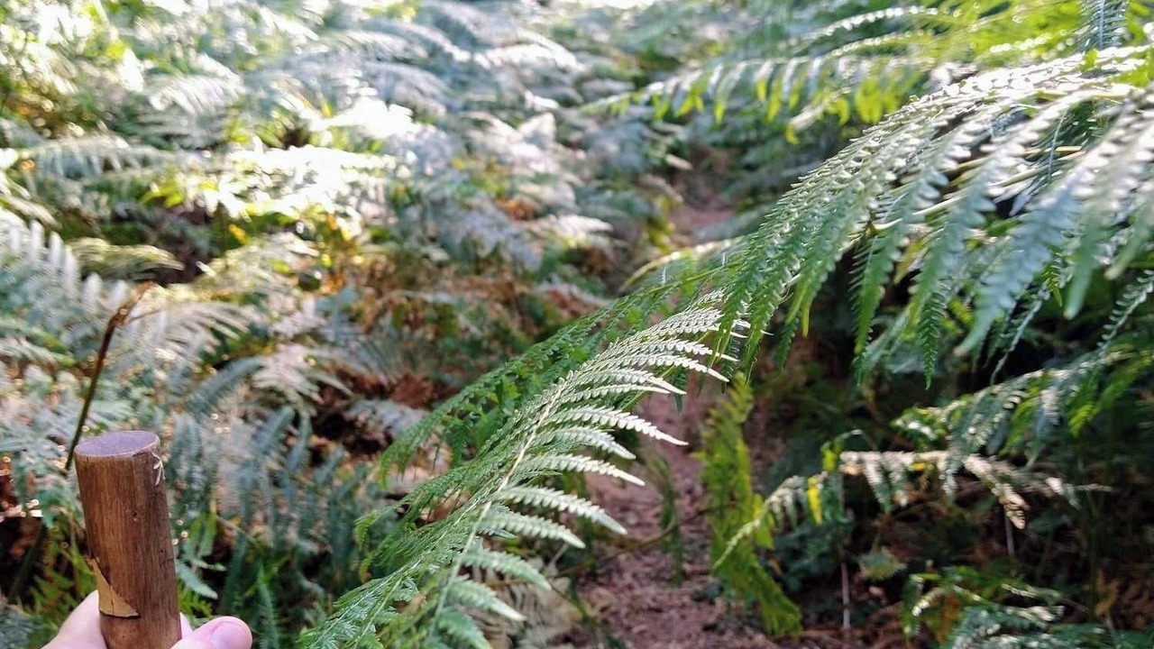 Photo of Outdoor in Les Genettes