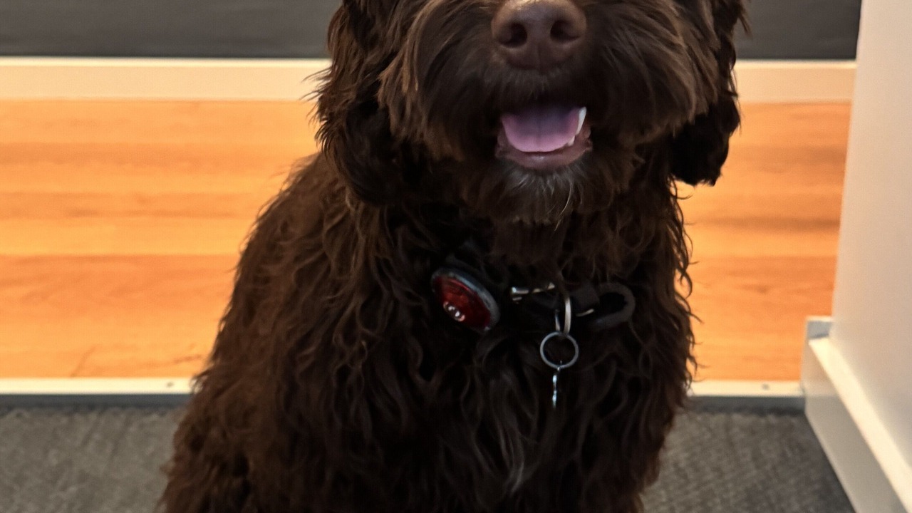 Photo of Others in Middelfart