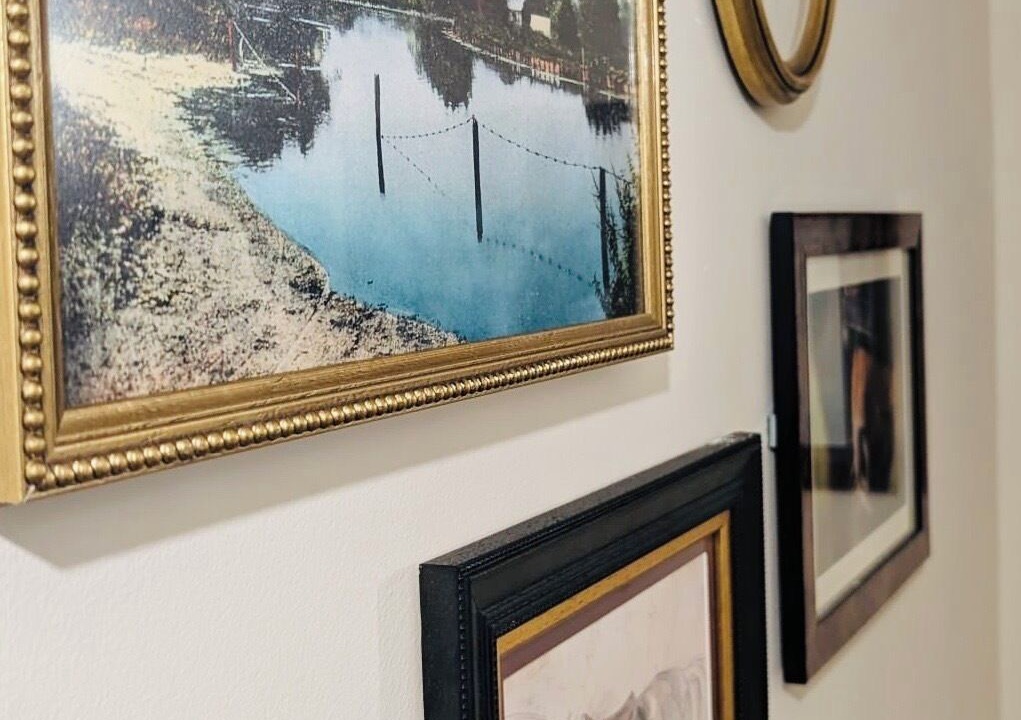 Photo of Others in New Forest District