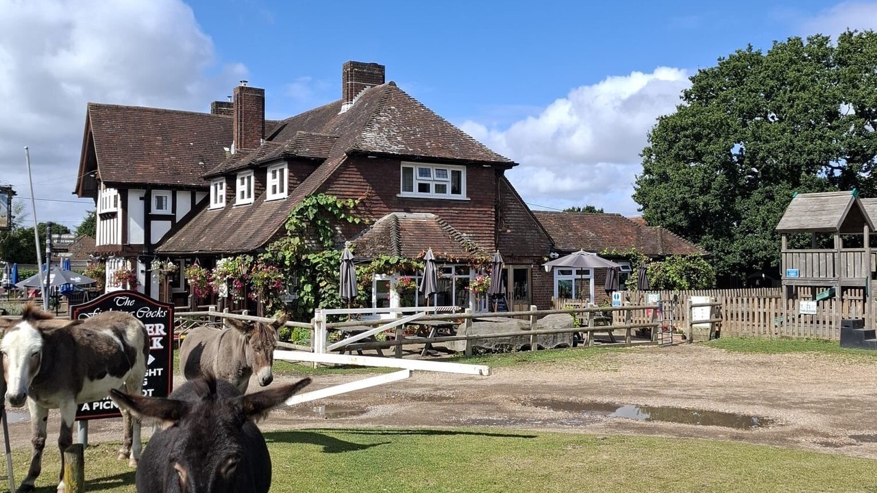 Photo of Outdoor in New Forest District
