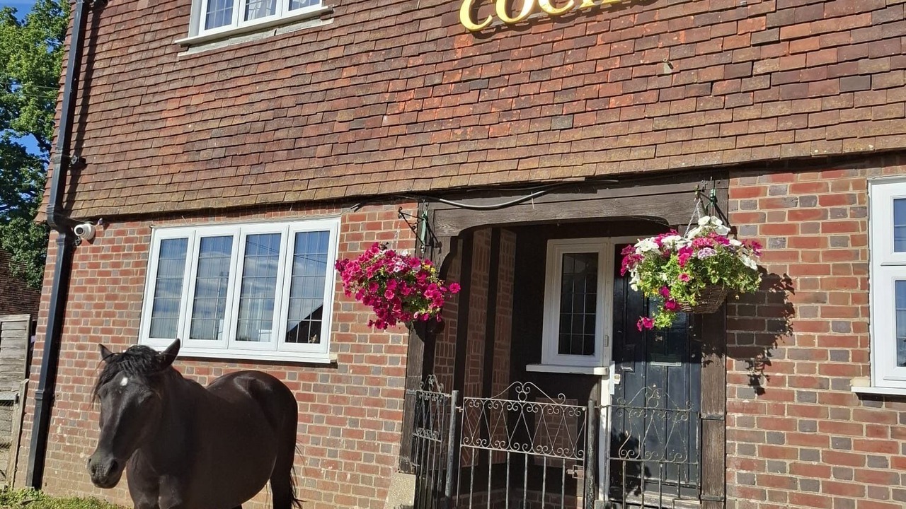 Photo of Outdoor in New Forest District