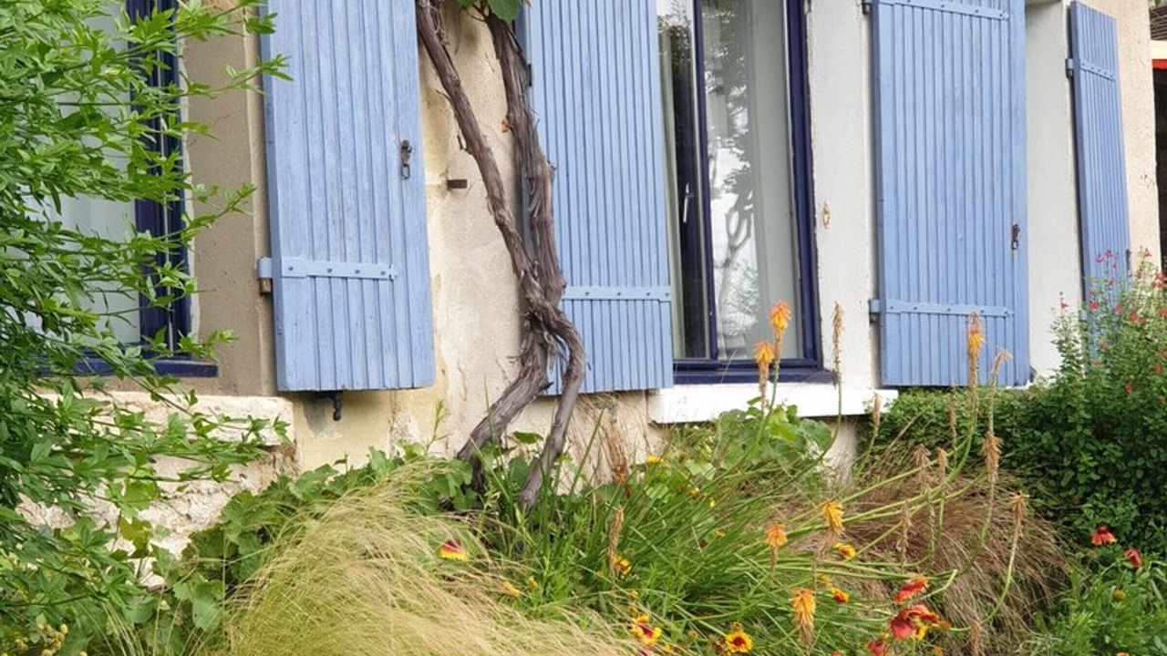 Photo of Outdoor in Auvers-sur-Oise