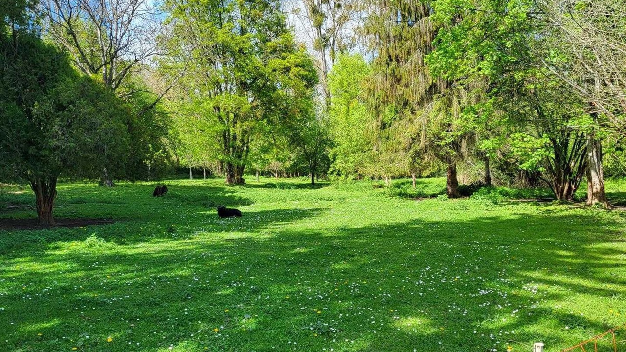 Photo of Others in Nesles-la-Vallee