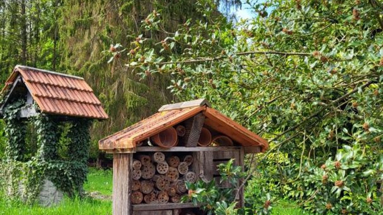 Photo of Others in Nesles-la-Vallee