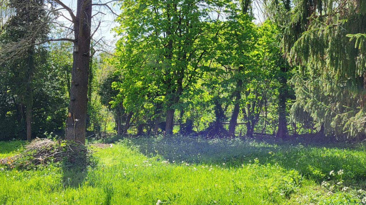 Photo of Others in Nesles-la-Vallee