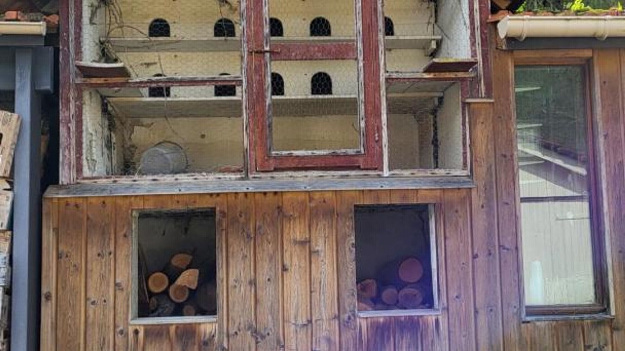 Photo of Outdoor in Nesles-la-Vallee