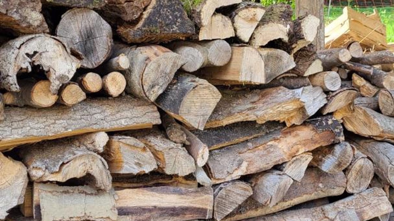 Photo of Others in Nesles-la-Vallee