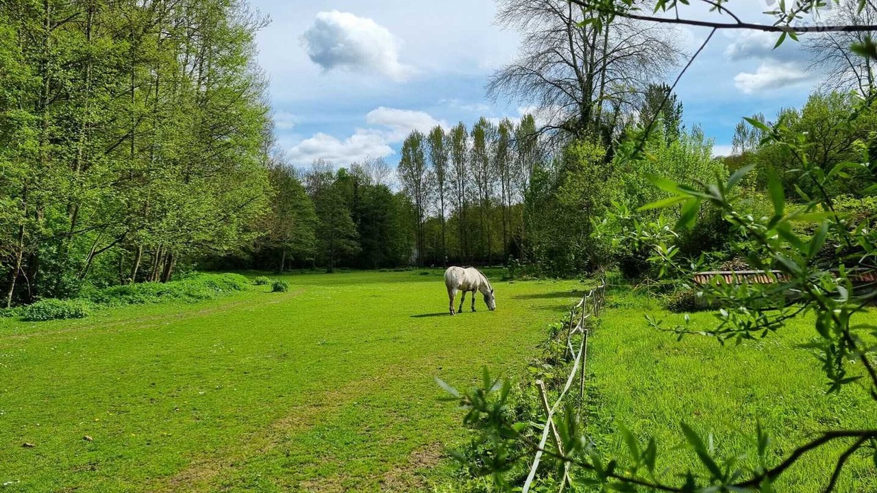 Photo of Others in Nesles-la-Vallee