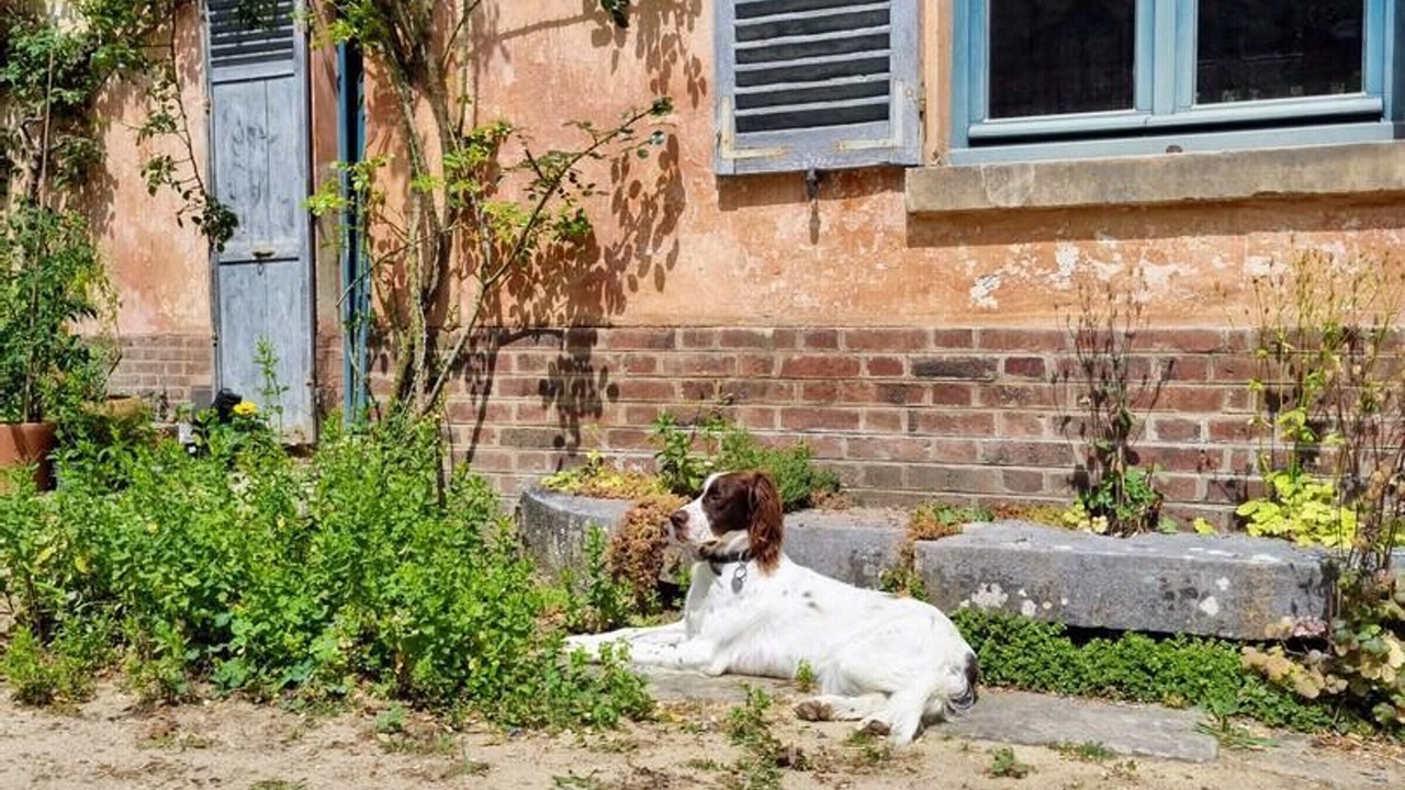 Photo of Outdoor in Valmondois