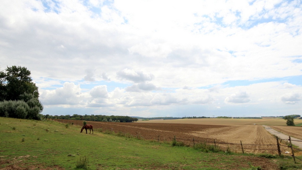 Photo of Others in Vigny