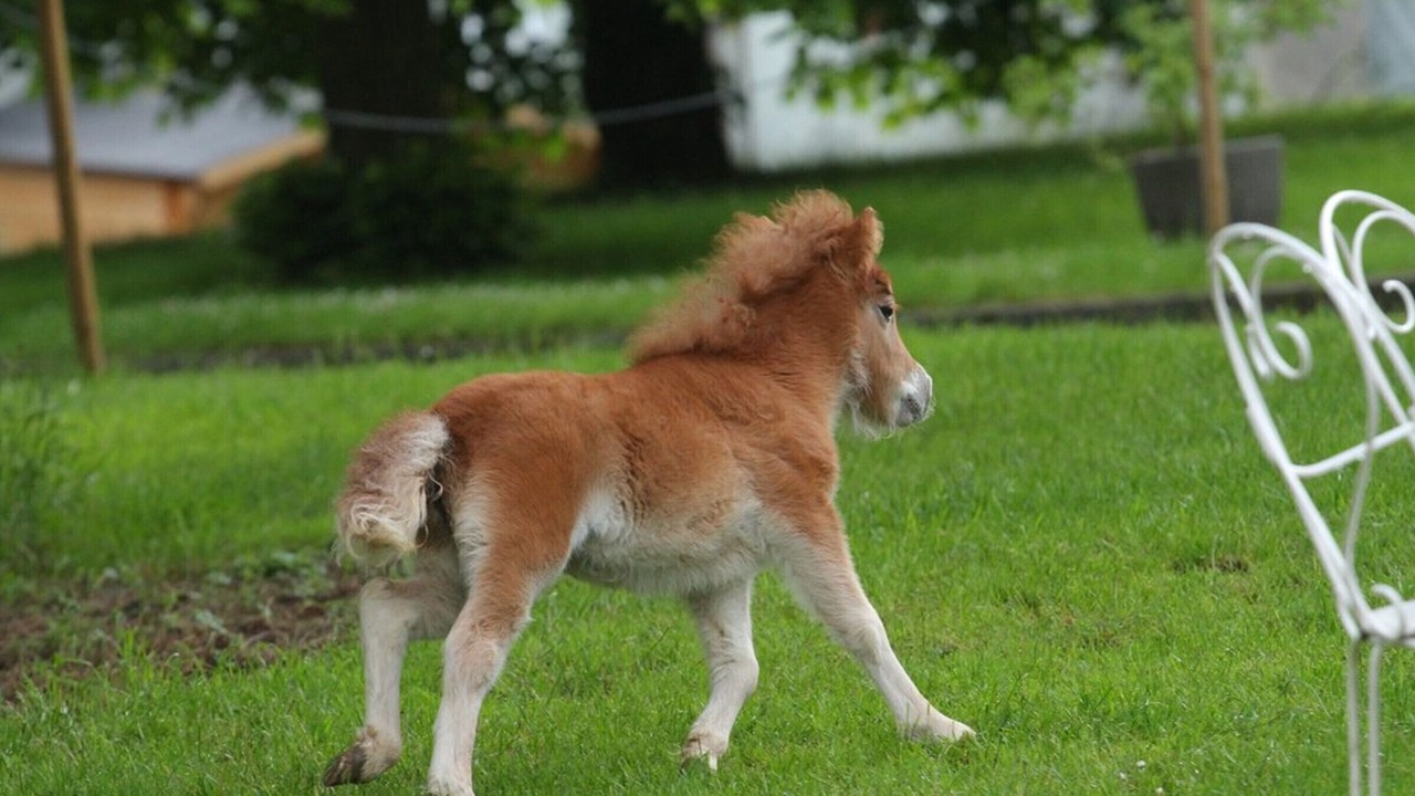Photo of Others in Vigny