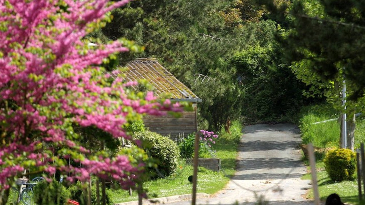 Photo of Outdoor in Vigny