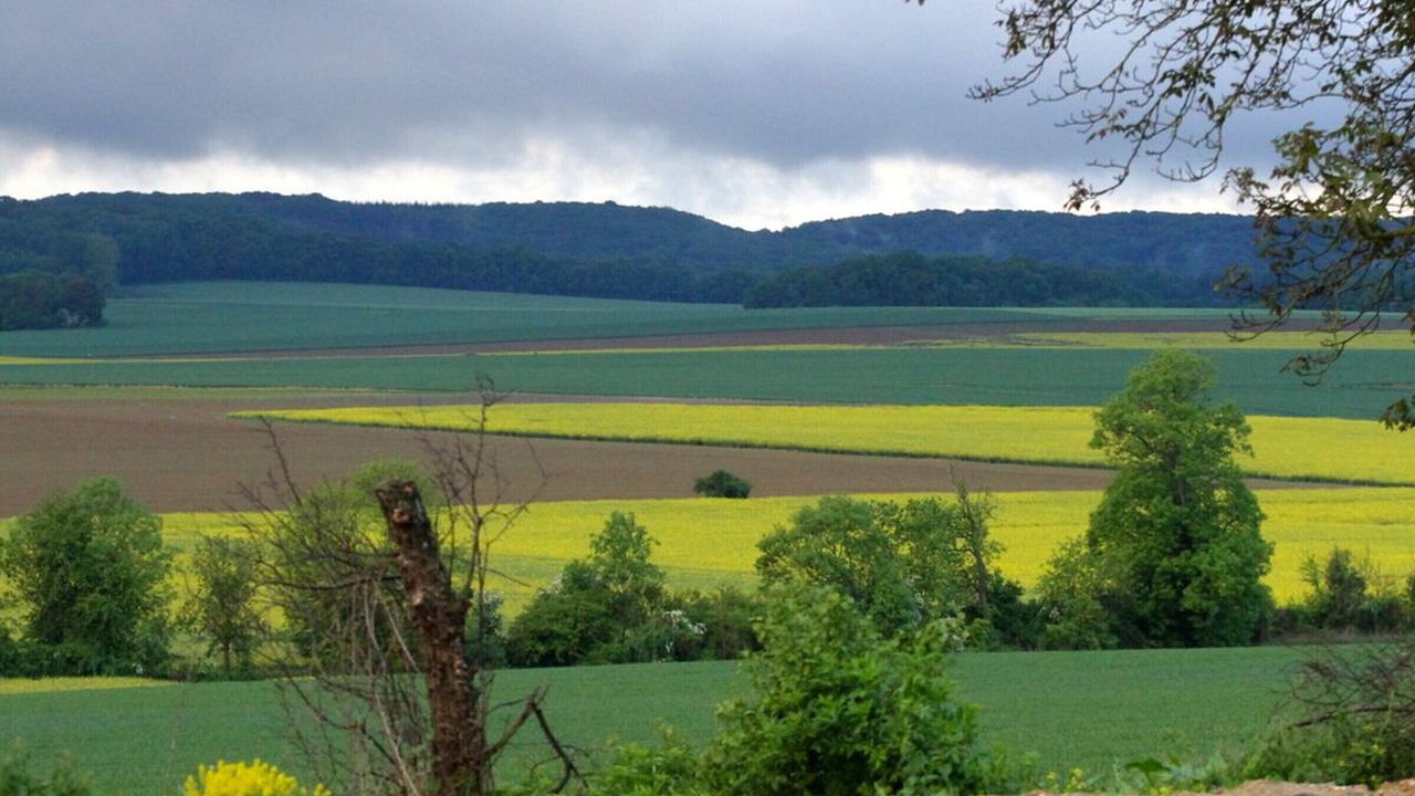 Photo of Others in Vigny