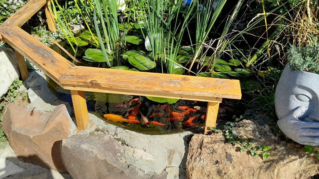 Photo of Outdoor in Neauphlette