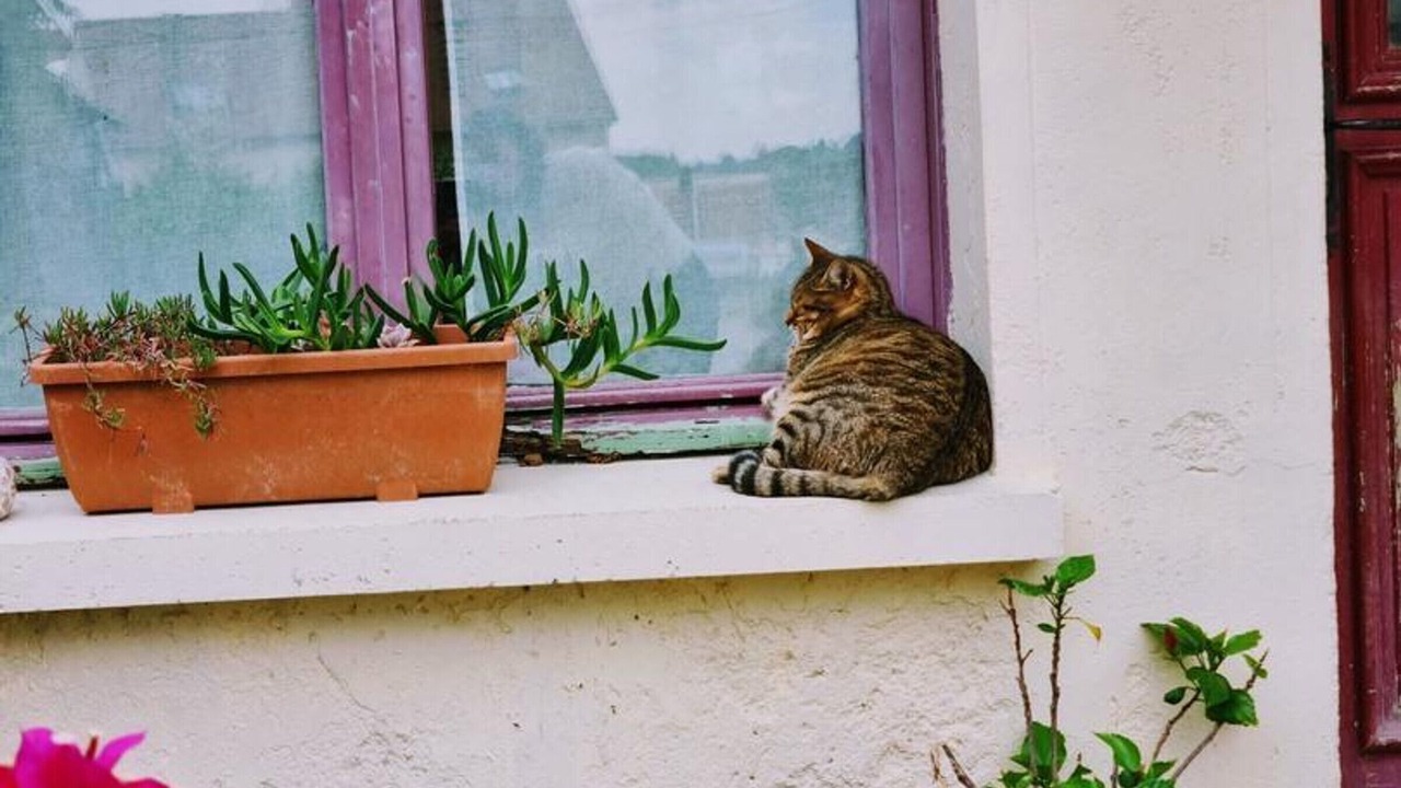 Photo of Outdoor in Neauphlette
