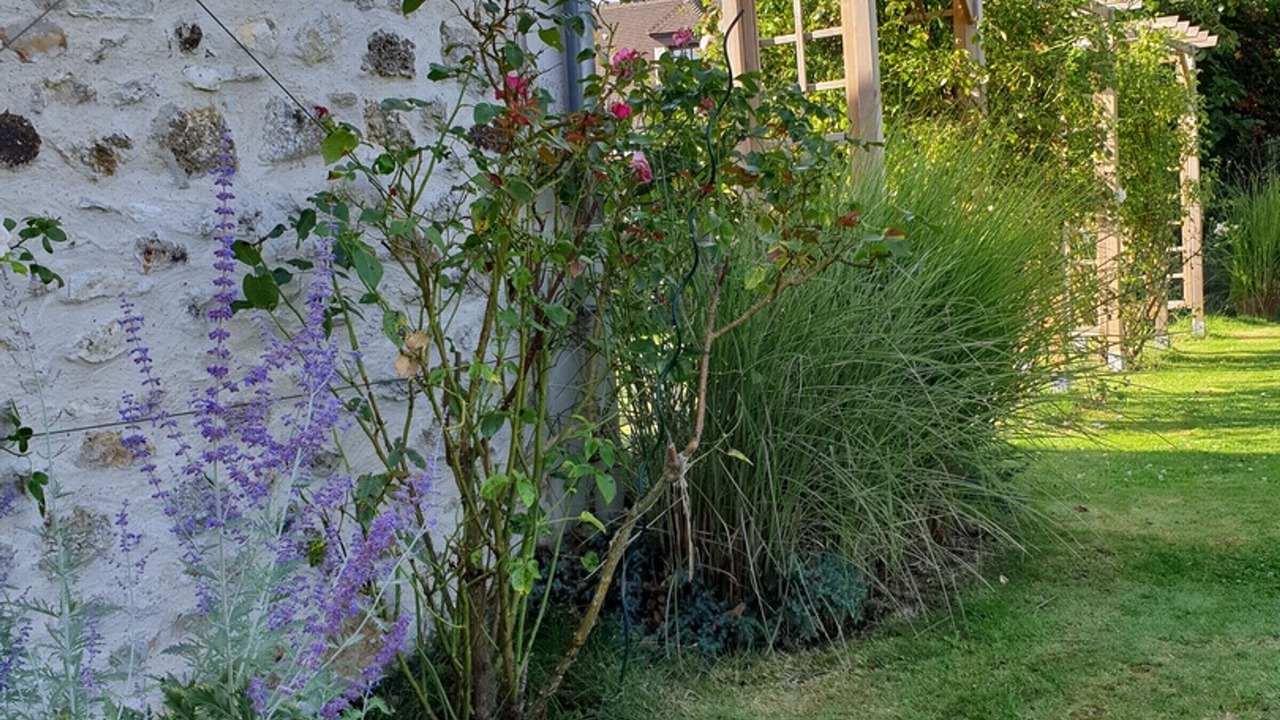 Photo of Outdoor in Boissy-sans-Avoir