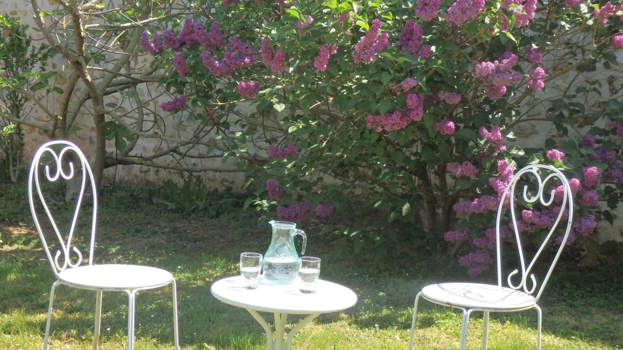 Photo of Outdoor in Arnouville-les-Mantes