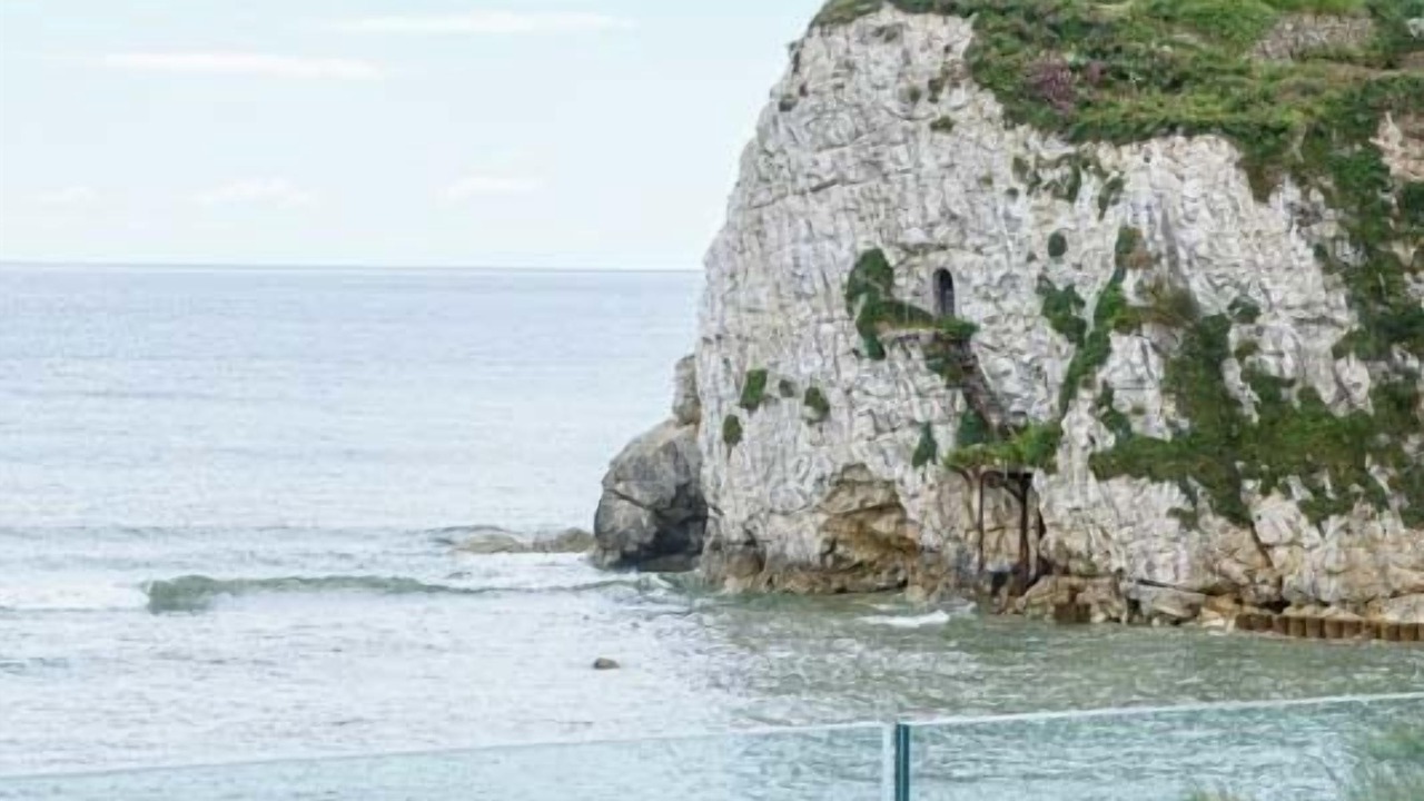 Photo of Others in Freshwater Bay