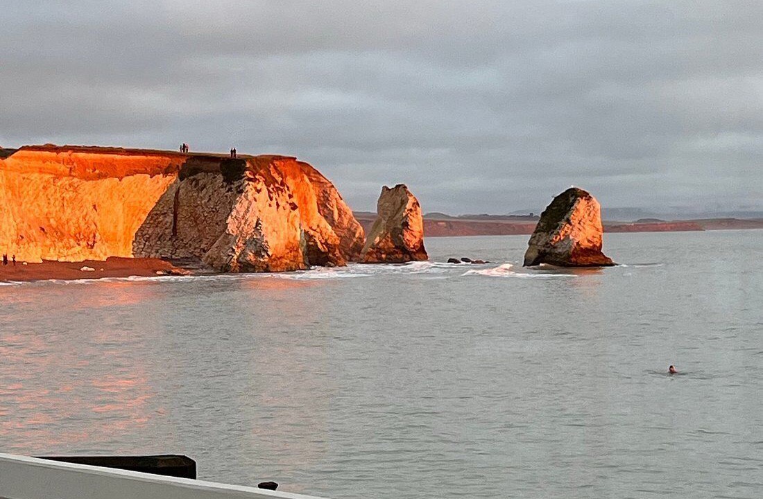 Photo of Others in Freshwater Bay