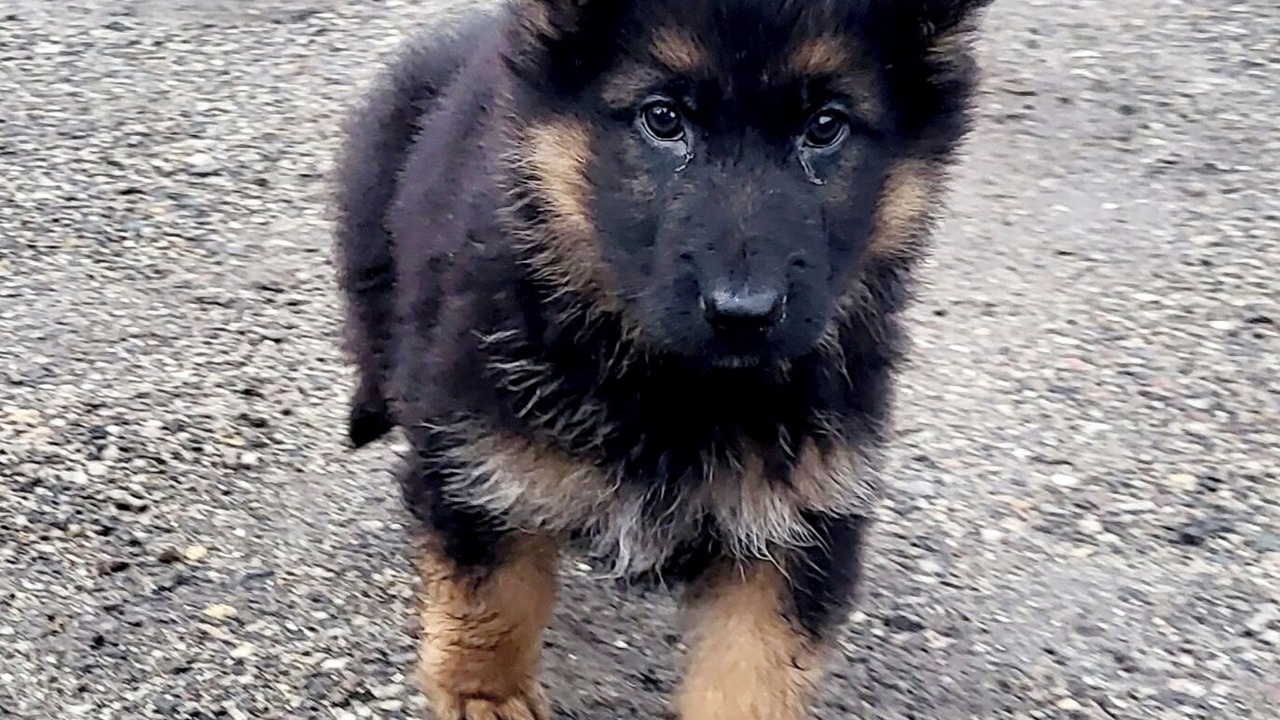 Photo of Others in Flamets-Fretils