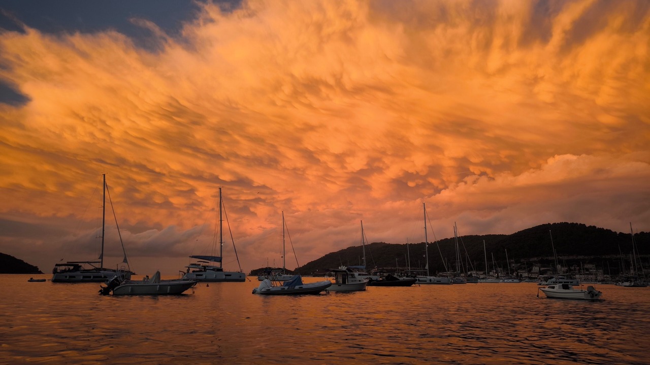 Photo of Others in Vis