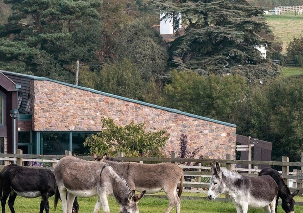 Photo of Others in Sidmouth