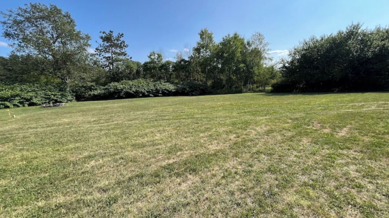 Photo of Others in Morann