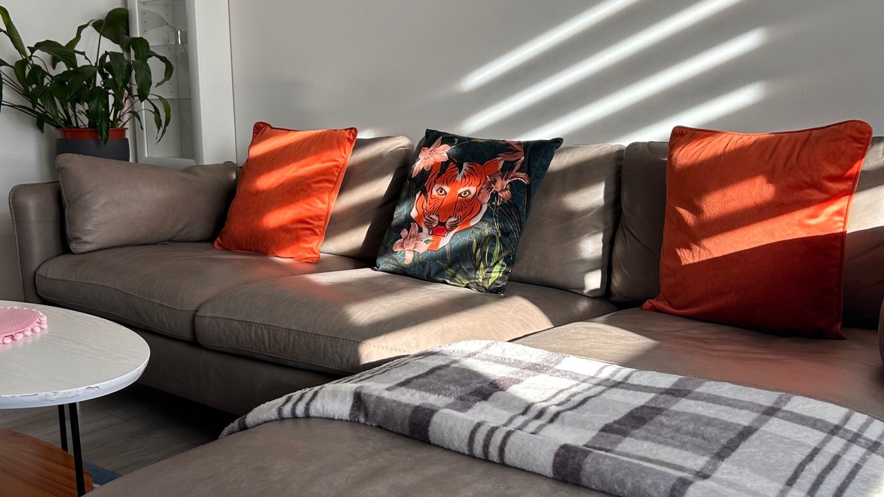 Photo of Others in Glasgow