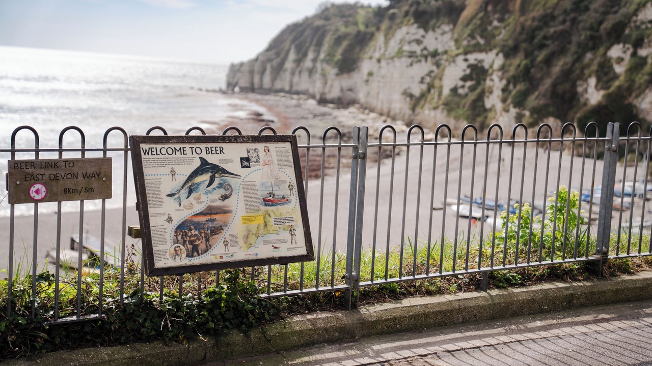 Photo of Outdoor in Beer