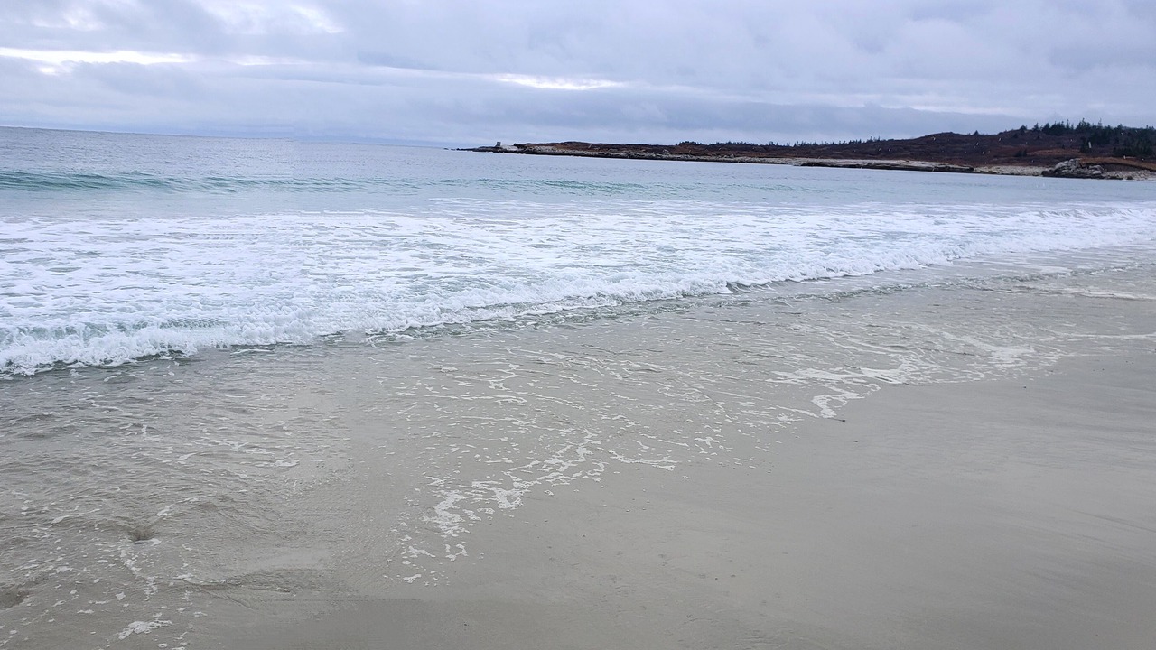 Photo of Others in Prospect Bay