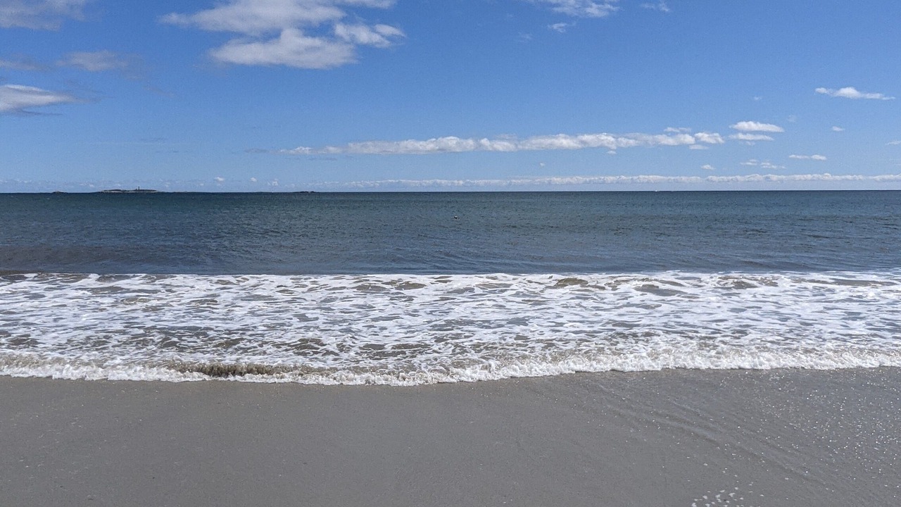 Photo of Others in Prospect Bay