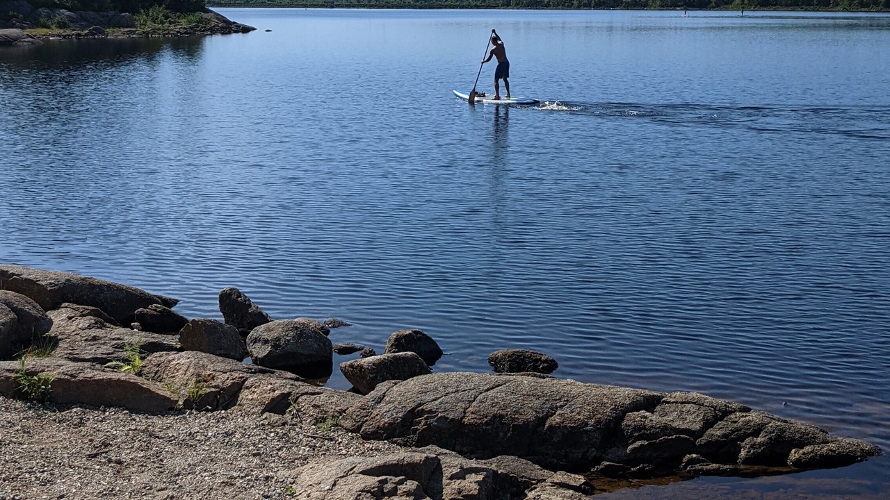 Photo of Others in Prospect Bay