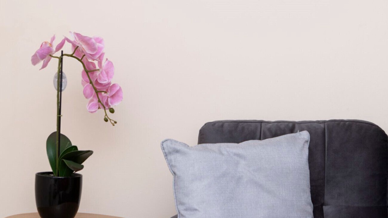 Photo of Others in Norwich